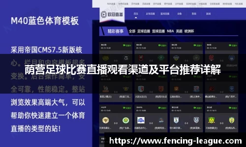 荫营足球比赛直播观看渠道及平台推荐详解